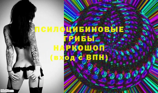 2c-b Верхнеуральск