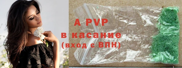 spice Верея