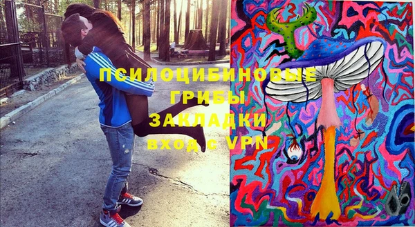 сатива Вязники