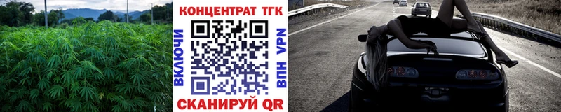 как найти закладки  Северобайкальск  ТГК вейп с тгк 