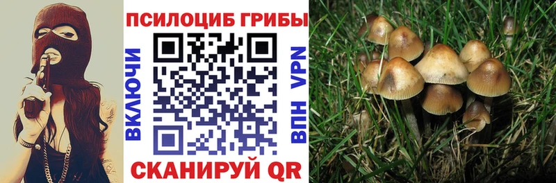 купить наркоту ОМГ ОМГ ссылка Псилоцибиновые грибы мицелий Северобайкальск