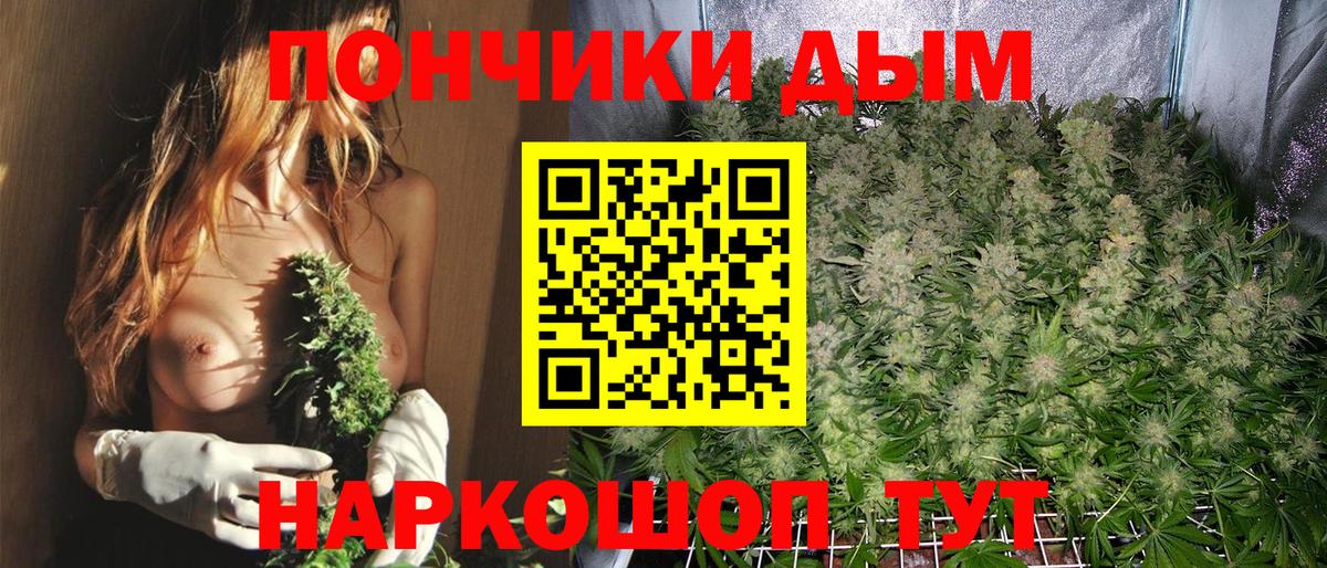 Бошки марихуана White Widow Северобайкальск